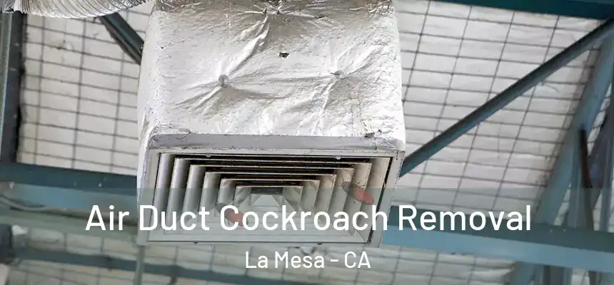  Air Duct Cockroach Removal La Mesa - CA