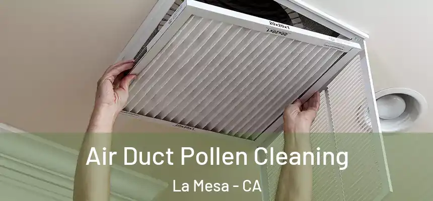  Air Duct Pollen Cleaning La Mesa - CA