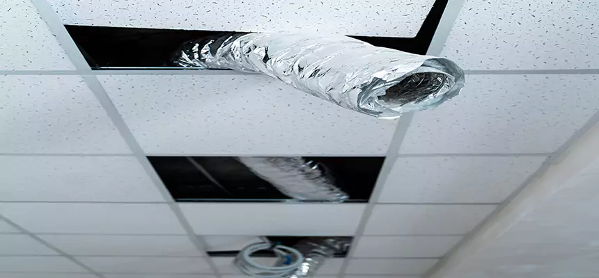 Our Air Duct Pet Hair Removal Services in La Mesa, CA