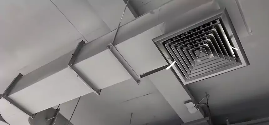 Restorative Allergy Relief Vent Cleaning – Coil, Blower & Housing Detail in La Mesa