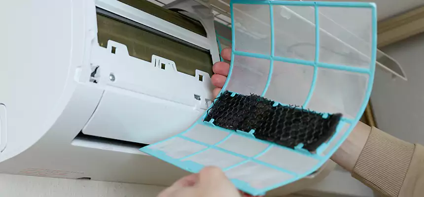 Gentle Ductwork Odor-Control Pet Dander Duct Cleaning in La Mesa, CA