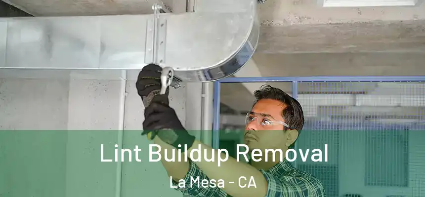 Lint Buildup Removal La Mesa - CA