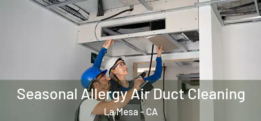  Seasonal Allergy Air Duct Cleaning La Mesa - CA