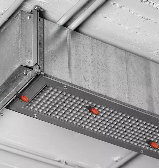 About Air Duct Cockroach Removal in La Mesa, CA
