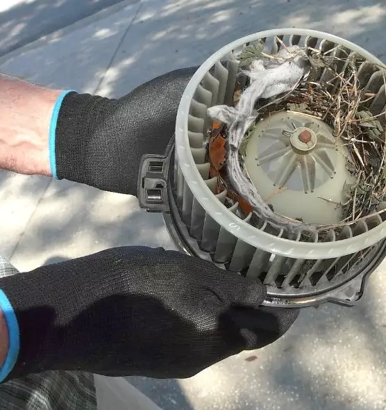 About Air Duct Mice Removal in La Mesa, CA