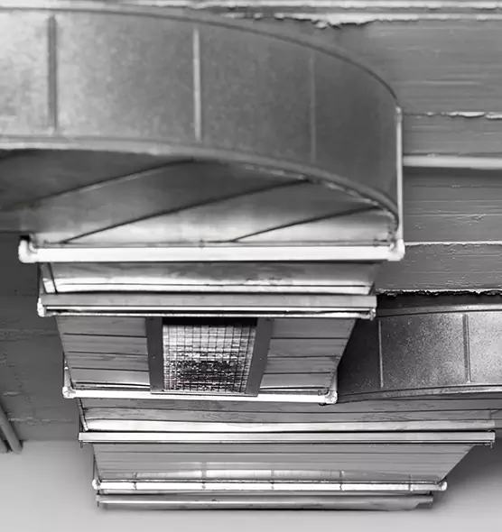 Professional Air Duct Pet Hair Removal in La Mesa, CA