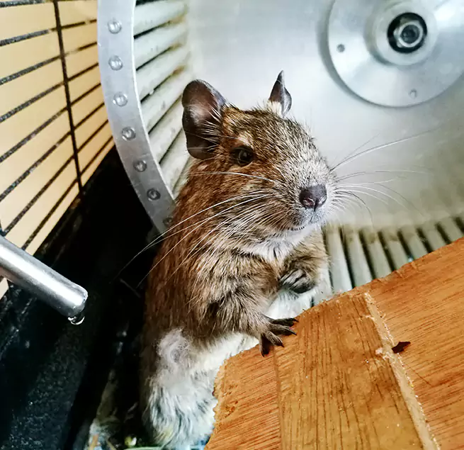 Why Homeowners & Businesses Trust Us La Mesa, CA