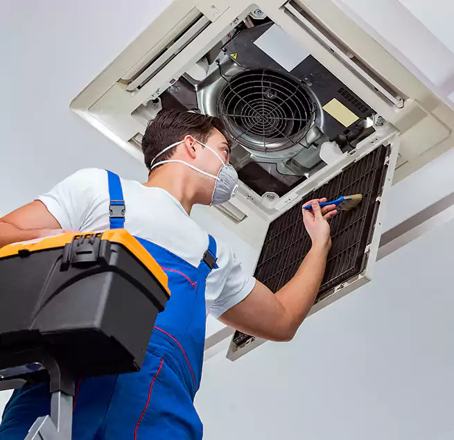 Why Homeowners & Businesses Trust Us in La Mesa, CA?