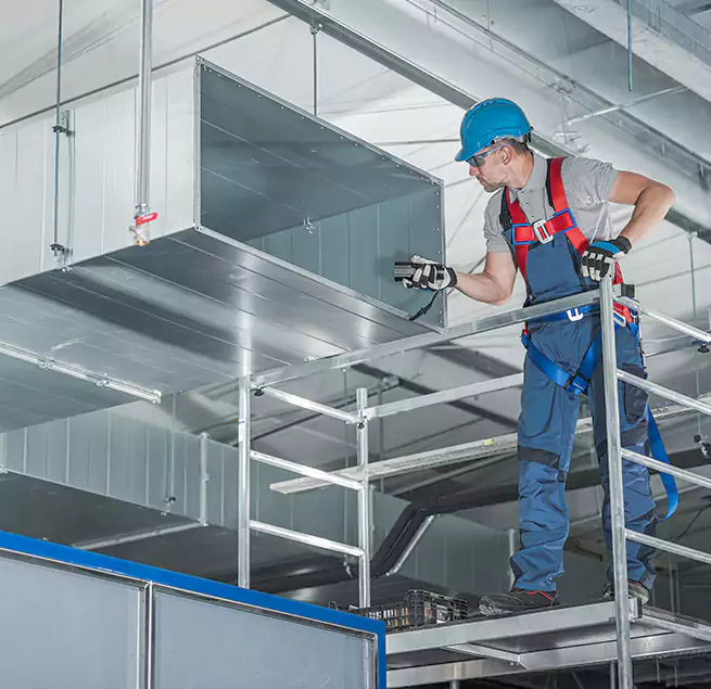 Why Homeowners & Businesses Trust Us in La Mesa, CA?