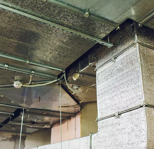 Why Homeowners & Businesses Trust Us in La Mesa, CA?