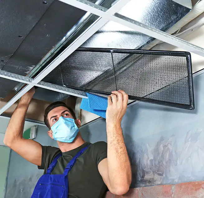 Why Homeowners & Businesses Trust Us in La Mesa, CA?